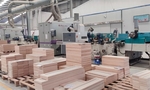 Rising costs cast doubt on wood companies growth prospects