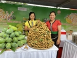 Son La mango and safe farm produce week launched in Ha Noi