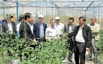 Lam Dong lures FDI in hi-tech agriculture