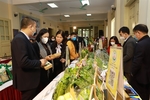 Ha Noi supports trade promotion for agricultural products