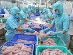 Viet Nam set to scrap COVID quarantine for imported processed seafood