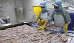 Seafood exports to Russia expected to bounce back