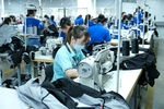 The first Danish FDI factory in An Giang starts running