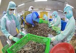 Agro, forestry, aquatic exports surge 13 per cent in eight months