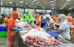 Seafood exports reach record $11b in 2022, challenges ahead