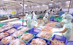 Shares extend gains on the back of banks, seafood firms