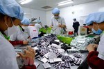 Pharmaceutical industry strives to contribute over $20 billion to Việt Nam’s GDP by 2045