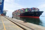 Seaport stocks anticipate bright outlook in Q4