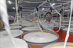 Việt Nam's fibre exports foresee positive signals