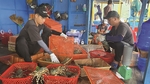 Ensuring origin of lobster seeds a must to export to China