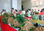 Vietnamese longan sells well in Japan despite high prices