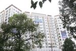 Social housing needs easier legal processes to flourish: experts