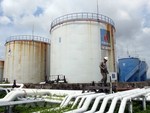 VN needs funds to increase national petroleum reserve