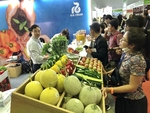Middle East, North Africa lucrative markets, fruit, vegetable exporters told