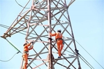 EVN proposes electricity price hike to combat losses