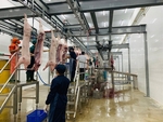 Industrial slaughtering enterprises face closure due to losses