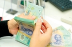 Viet Nam’s banking system shows signs of money surplus