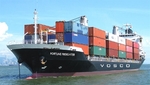 High costs setback to green transition in maritime transportation