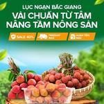 Lazada Vietnam supports Bac Giang to bring lychees to e-commerce