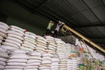 Vietnamese export rice price sets new record