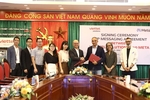 Viettel Solutions provides A2P Messaging for Meta in Việt Nam
