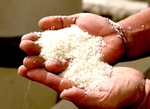 PM requests promoting rice production, export