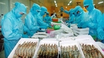 Việt Nam’s seafood exports forecast to recover slightly in H1