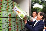 An Giang exports first green-peel elephant mangoes to Australia, US