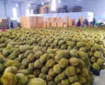 Vietnam sees many opportunities to promote fruit, vegetable exports to China