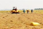 Low interest loan programme launched for high-quality rice cultivation