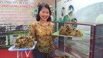 International Ngọc Linh ginseng festival set for 2025