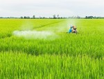 Should Việt Nam implement VAT on fertilisers?