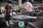 Middle East: the fourth largest importer of Vietnamese tuna