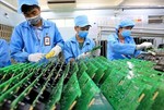 Việt Nam dangles chip incentives to draw foreign companies: Nikkei Asia