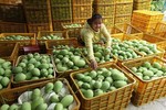 Enterprises urged to pay attention to pesticide residues in farm produce when exporting to RoK