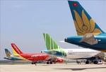 Domestic airlines’ fleets likely to shrink in two years: CAAV