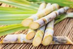 Anti-dumping investigation into sugarcane extended