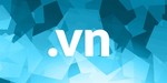 Changes in regulations on ".vn" domain names proposed