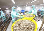 Australia a potential market for Vietnamese shrimp