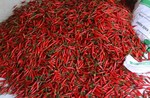 Rok, Taiwan increases inspection on imported chili