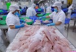 VN's seafood exports can reach $9.5 billion in 2024