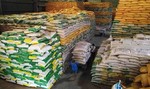 Việt Nam's rice export surges in Q1 2024