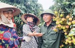 Quảng Ninh to livestream for the first time to sell famed lychees