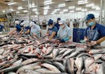 Pangasius exports show signs of recovery