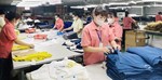 Vietnamese exports recover in 2024, still face challenges