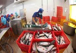 Higher demand, prices lift seafood exports in first five months