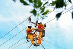 EVN reports record loss despite electricity price increases