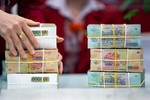 Cheap money period in Việt Nam forecast to come to an end