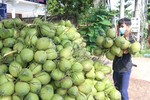 Fruit, vegetable exports up sharply in seven months