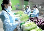 Hà Nội enhances effectiveness of agricultural product chains